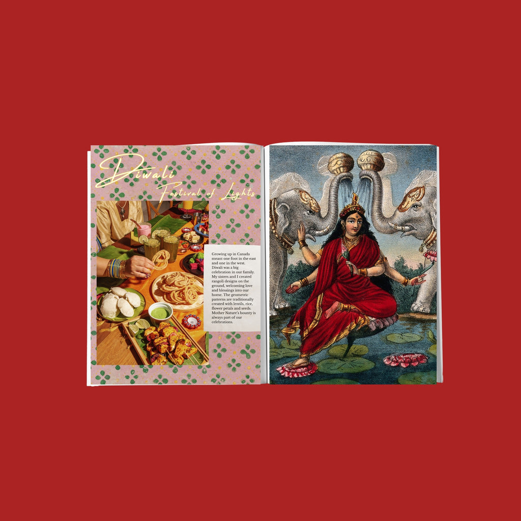 Nani’s Kitchen - Indian Recipes & Heritage Cookbook
