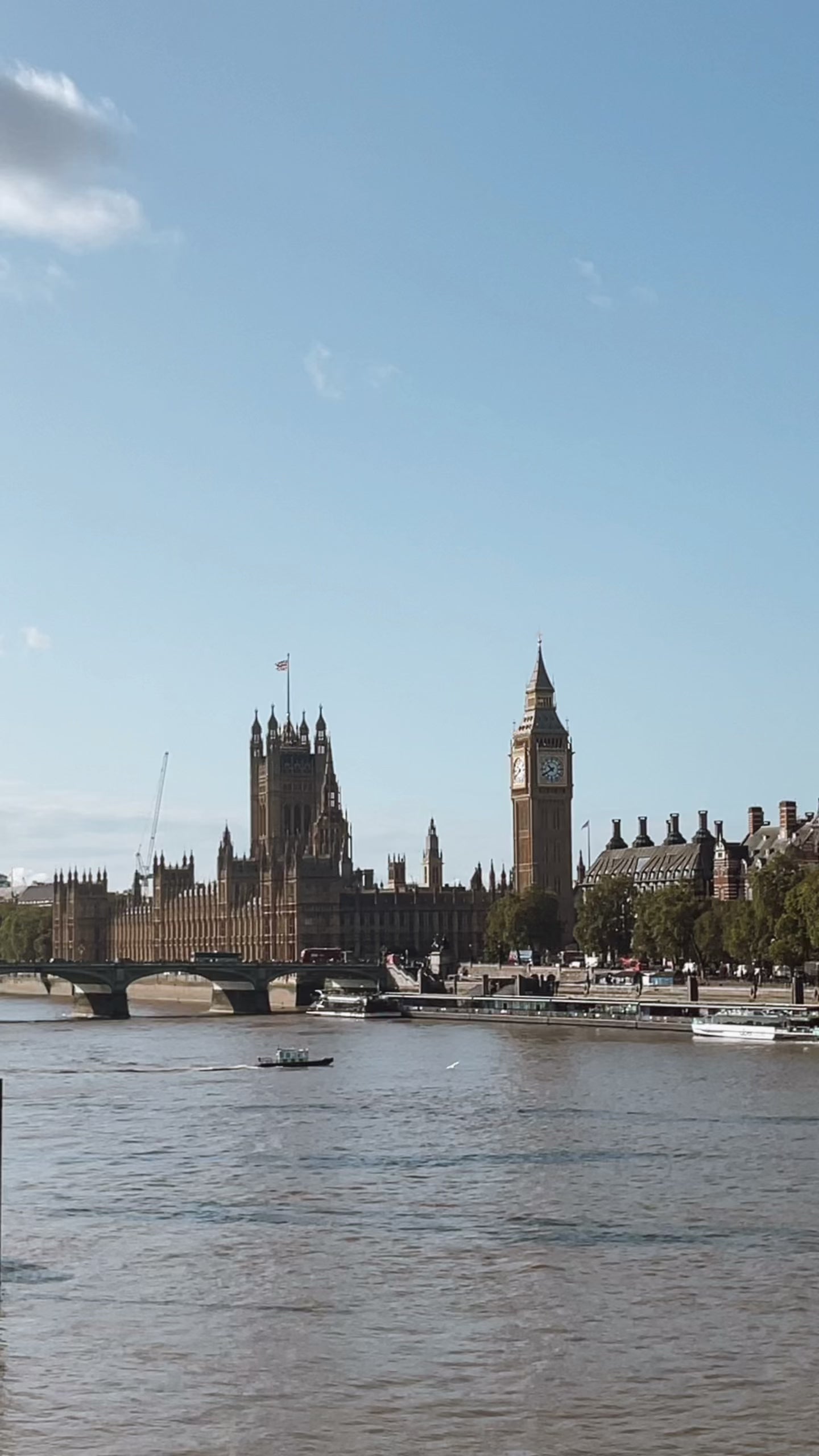 Rose Ayurvedic Elixir Large