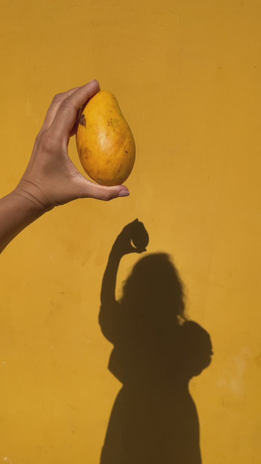 Mango Ayurvedic Elixir